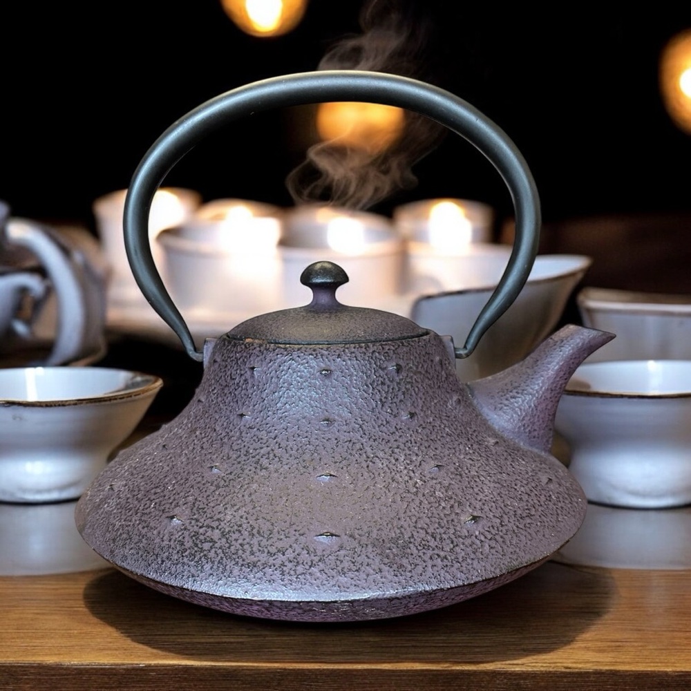 Nambu Tekki teapot / Tetsubin a traditional Japanese cast iron teapot / kettle.